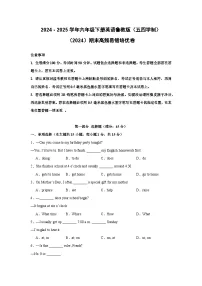 【期末】期末高频易错培优卷-鲁教版（五四制）小学英语六下-期末复习考点培优专项卷（含解析）