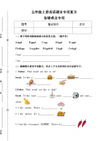 人教版五年级上册英语期末专项复习-易错难点专项训练