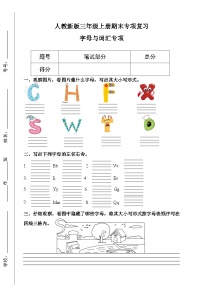 2024版人教版三年级上册英语期末专项训练 字母与词汇