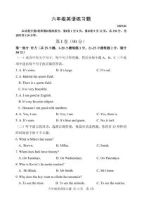 山东省泰安市岱岳区2024-2025学年六年级上学期期末英语试题