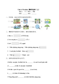 小学英语译林版（三起）（2024）四年级上册（2024）Unit 6 Weather综合训练题