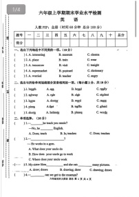 甘肃省庆阳市宁县2024-2025学年六年级上学期期末英语试题