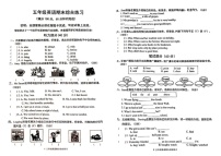 广东省茂名市2024-2025学年五年级上学期期末英语试题