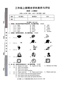江西省上饶市鄱阳县2024-2025学年三年级上学期期末英语试题