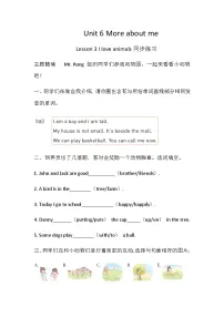 英语四年级上册（2024）Lesson 3 I love animals.精品练习