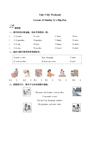 小学英语北京版（2024）二年级上册（2024）Lesson 14 Sunday Is a Big Day精品课时作业