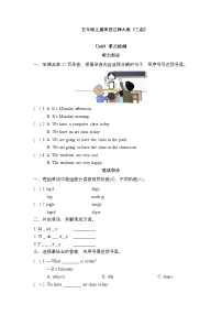 辽师大版（三起）（2024）五年级上册Unit 3 What day is today?精品单元测试练习题