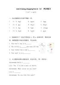 人教版PEP（2024）Unit 4 Going shoppingPart A达标测试