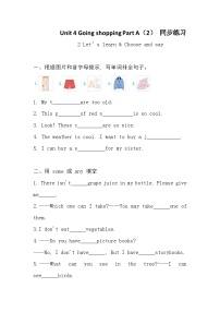 人教版PEP（2024）四年级下册（2024）Unit 4 Going shoppingPart A复习练习题