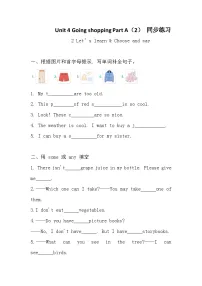 人教版PEP（2024）四年级下册（2024）Unit 4 Going shoppingPart A复习练习题