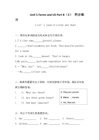 人教版PEP（2024）四年级下册（2024）Part B精品复习练习题