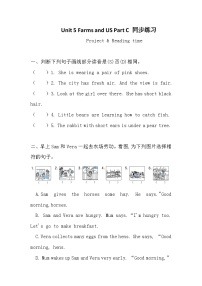 四年级下册（2024）Part C精品同步达标检测题
