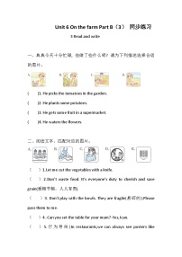人教版PEP（2024）四年级下册（2024）Part B优秀一课一练