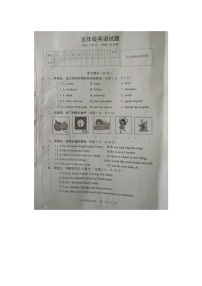 安徽省安庆市区2025-2026学年第一学期五年级英语期末试卷（含答案）