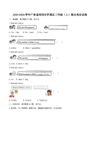 2025-2026学年广东省深圳市罗湖区三年级（上）期末英语试卷-普通用卷