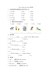 小学英语外研版（三起）2024三年级下册（2024）Unit 4 What's your hobby?精练