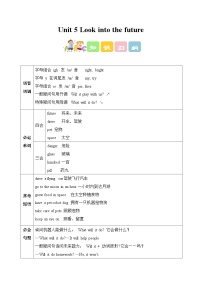 外研版（三起）2024五年级上册（2024）Unit 5 Look into the future学案设计