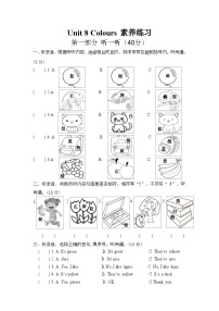 英语三年级下册（2024）Unit 8 Colours达标测试