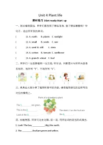 外研版（三起）2024四年级下册（2024）Unit 4 Plant life精品综合训练题