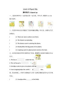 外研版（三起）2024四年级下册（2024）Unit 4 Plant life精品课后测评