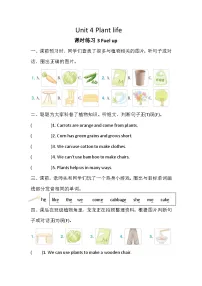 小学英语外研版（三起）2024四年级下册（2024）Unit 4 Plant life优秀一课一练