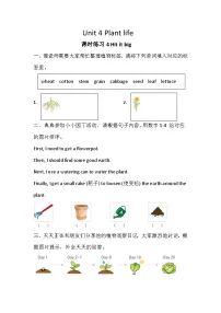 外研版（三起）2024四年级下册（2024）Unit 4 Plant life优秀课时作业