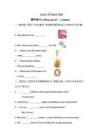 四年级下册（2024）Unit 4 Plant life精品练习