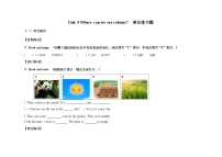 沪教牛津版(六三制一起)(2024)三年级下册（2024）Unit 5 Where can we see colours?课后复习题