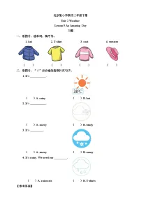 小学英语北京版（2024）二年级下册（2024）Lesson 4 How's the Weather?精品精练