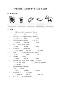 小学英语牛津上海版六年级下册unit 2 At the airport同步测试题