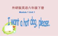 小学英语外研版 (三年级起点)六年级下册Module 1Unit 1 I want a hot dogplease.背景图免费课件ppt