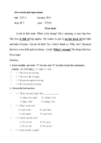 译林英语6B小学英语阅读多篇