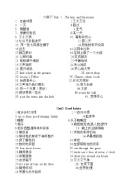 新版-牛津译林版六年级下册Unit 4 Road safety导学案