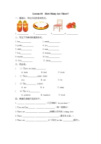 小学英语冀教版 (三年级起点)六年级上册Lesson 10 How Many Are There ?同步训练题