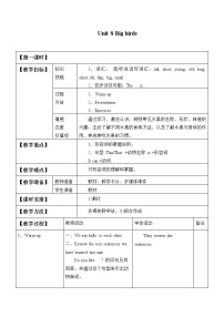 英语三年级下册Unit 8 Big bird教案