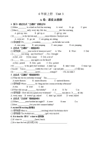 小学英语新版-牛津译林版六年级上册Unit 3 Holiday fun优秀课后复习题