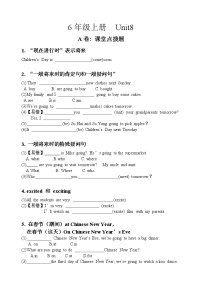 新版-牛津译林版六年级上册Unit 8 Chinese New Year优秀巩固练习