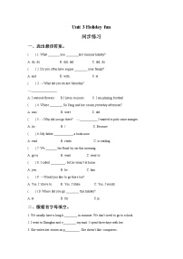 英语六年级上册Unit 3 Holiday fun优秀当堂达标检测题