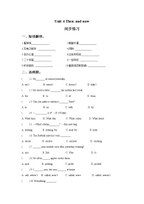 英语六年级上册Unit 4 Then and now精品综合训练题