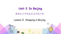 小学英语冀教版 (三年级起点)五年级下册Lesson 11 Shopping in Beijing教学演示ppt课件