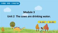 小学Unit 2 The cows are drinking water教课内容课件ppt