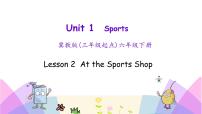 冀教版 (三年级起点)六年级下册Lesson 2 At the sports Shop优秀ppt课件