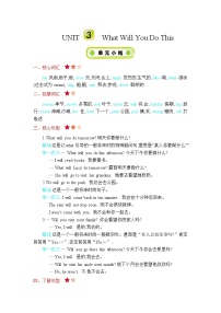 英语六年级下册Unit 3 What Will You Do This Summer?综合与测试导学案