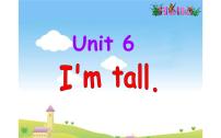 小学英语人教精通版四年级上册Unit 6 I'm tall.Lesson 31完美版课件ppt