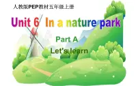 小学英语人教版 (PEP)五年级上册Unit 3 What’s Your Favourite Food? Part A教课内容ppt课件