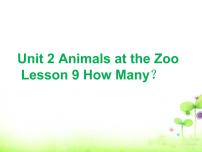 小学英语冀教版 (三年级起点)三年级下册Lesson 9 How Many?图文课件ppt