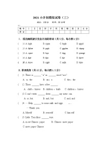 冲刺名校2021小升初英语模拟卷（三）（通用版）