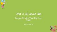 英语Unit 3 All about MeLesson 14 Are You Short or Tall?图片ppt课件