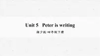 湘少版四年级下册Unit 5 Peter is writing.优秀教学课件ppt