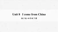 湘少版四年级下册Unit 8 I come from China.教学课件ppt